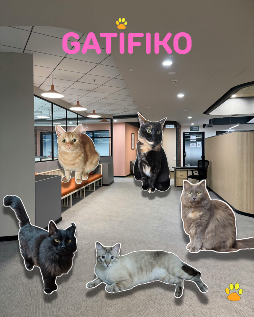 Foto del equipo de trabajadores felinos de la empresa Pet Shop Gatifiko, en Lima - Perú